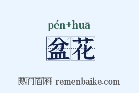 盆花是什么意思的图片